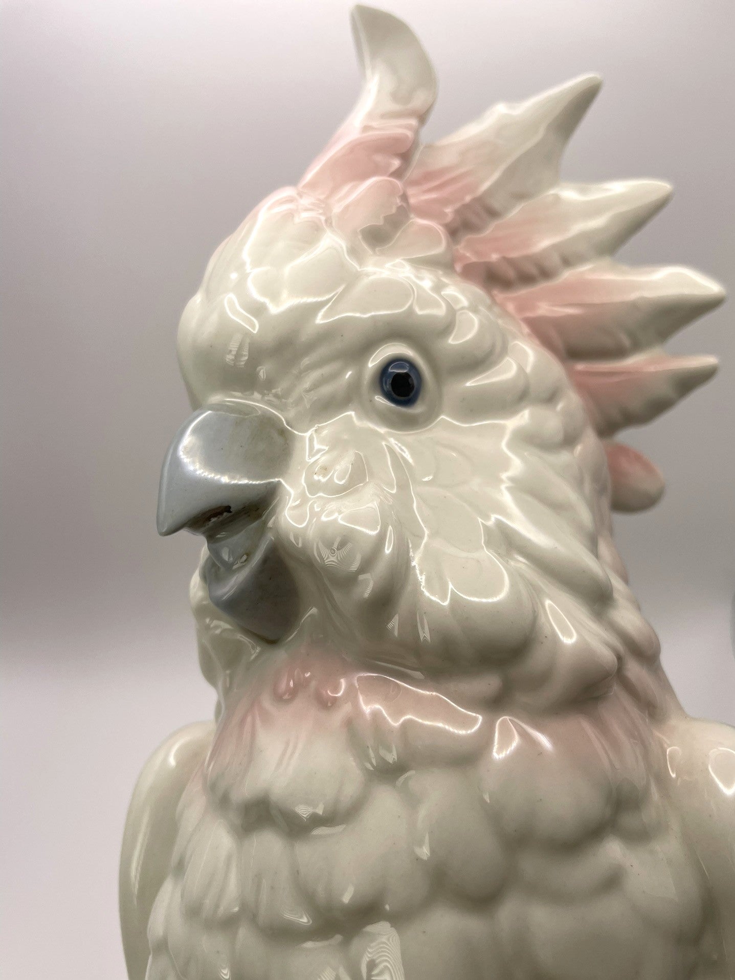 Royal Dux Bohemia Cockatoo With Soft Pink Feathers 40cm